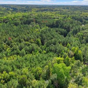 Photo #5 of 4490 Charles Taylor, Oxford, NC 8.1 acres