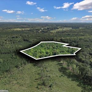 Photo #8 of 4490 Charles Taylor, Oxford, NC 8.1 acres