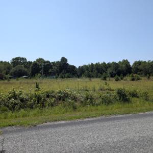 Photo #1 of 4 Truelove, Holly Springs, NC 11.4 acres