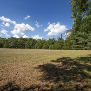 Photo #11 of 1716 Brassfield, Raleigh, NC 15.8 acres