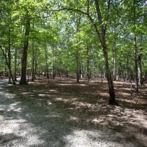 Photo #19 of 1716 Brassfield, Raleigh, NC 15.8 acres