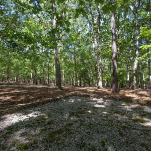 Photo #21 of 1716 Brassfield, Raleigh, NC 15.8 acres