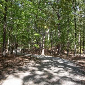 Photo #22 of 1716 Brassfield, Raleigh, NC 15.8 acres