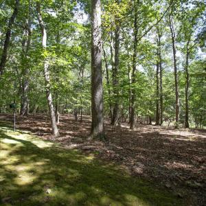 Photo #45 of 1716 Brassfield, Raleigh, NC 15.8 acres
