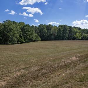 Photo #14 of 1716 Brassfield, Raleigh, NC 15.8 acres