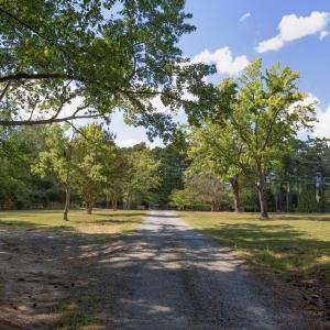 Photo #3 of 1716 Brassfield, Raleigh, NC 15.8 acres