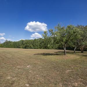 Photo #4 of 1716 Brassfield, Raleigh, NC 15.8 acres