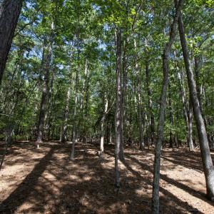 Photo #29 of 1716 Brassfield, Raleigh, NC 15.8 acres