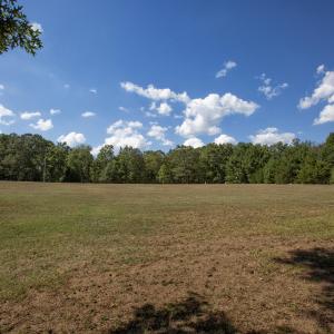 Photo #8 of 1716 Brassfield, Raleigh, NC 15.8 acres
