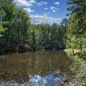 Photo #30 of 1716 Brassfield, Raleigh, NC 15.8 acres