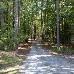 Photo #15 of 1716 Brassfield, Raleigh, NC 15.8 acres