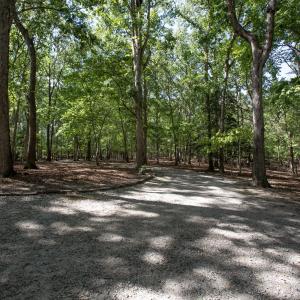 Photo #20 of 1716 Brassfield, Raleigh, NC 15.8 acres
