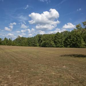 Photo #10 of 1716 Brassfield, Raleigh, NC 15.8 acres