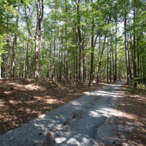 Photo #16 of 1716 Brassfield, Raleigh, NC 15.8 acres
