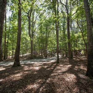 Photo #18 of 1716 Brassfield, Raleigh, NC 15.8 acres