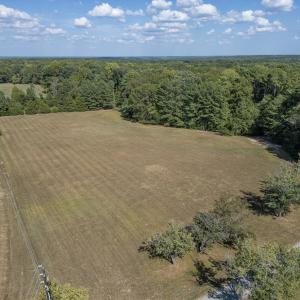 Photo #6 of 1716 Brassfield, Raleigh, NC 15.8 acres