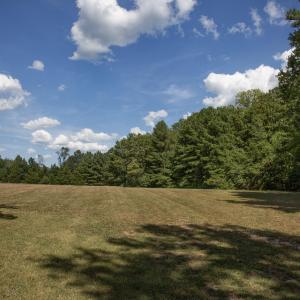 Photo #9 of 1716 Brassfield, Raleigh, NC 15.8 acres