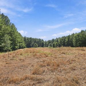 Photo #15 of Sunset, Oxford, NC 94.8 acres