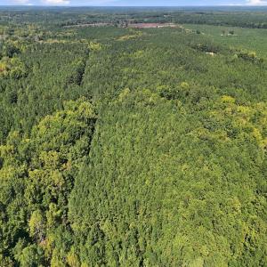 Photo #1 of Sunset, Oxford, NC 94.8 acres