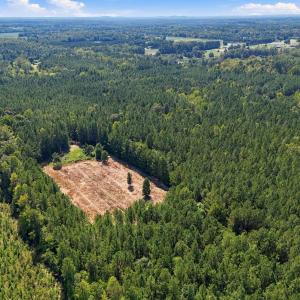 Photo #10 of Sunset, Oxford, NC 94.8 acres