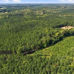Photo #8 of Sunset, Oxford, NC 94.8 acres
