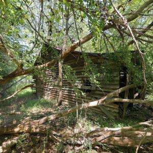 Photo #16 of Sunset, Oxford, NC 94.8 acres