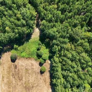 Photo #11 of Sunset, Oxford, NC 94.8 acres