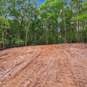 Photo #13 of Oak, Raleigh, NC 0.7 acres