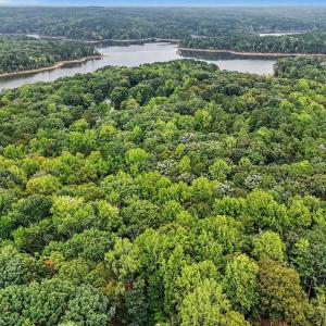 Photo #3 of Oak, Raleigh, NC 0.7 acres