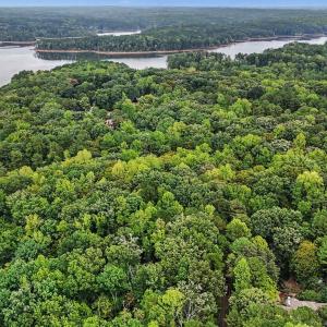 Photo #18 of Oak, Raleigh, NC 0.7 acres