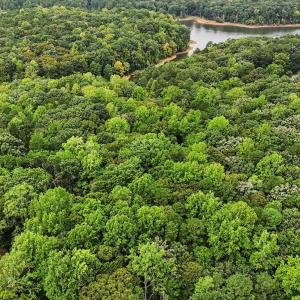 Photo #14 of Oak, Raleigh, NC 0.7 acres
