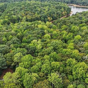 Photo #10 of Oak, Raleigh, NC 0.7 acres