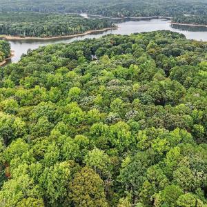 Photo #6 of Oak, Raleigh, NC 0.7 acres