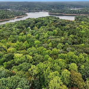 Photo #16 of Oak, Raleigh, NC 0.7 acres