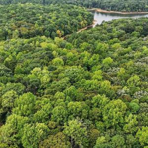 Photo #5 of Oak, Raleigh, NC 0.7 acres