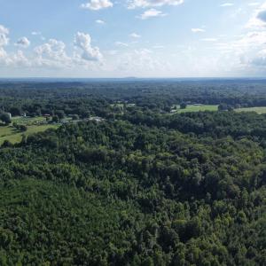 Photo #12 of 211 Moore, Mocksville, NC 12.3 acres