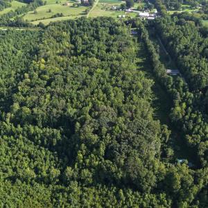 Photo #9 of 211 Moore, Mocksville, NC 12.3 acres