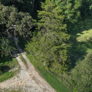 Photo #15 of 211 Moore, Mocksville, NC 12.3 acres