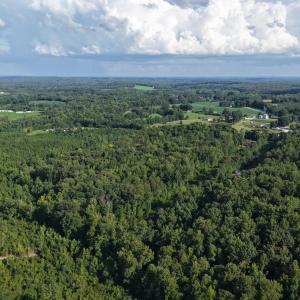 Photo #14 of 211 Moore, Mocksville, NC 12.3 acres