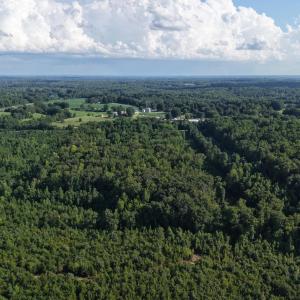 Photo #10 of 211 Moore, Mocksville, NC 12.3 acres