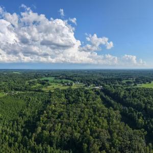 Photo #6 of 211 Moore, Mocksville, NC 12.3 acres