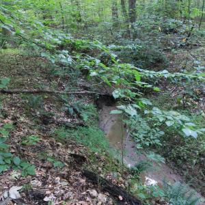 Photo #22 of 211 Moore, Mocksville, NC 12.3 acres