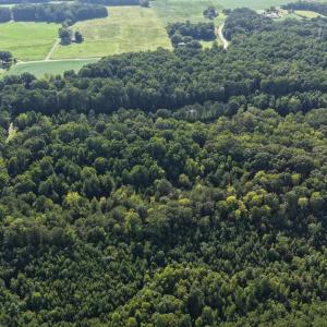 Photo #7 of 211 Moore, Mocksville, NC 12.3 acres