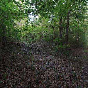 Photo #24 of 211 Moore, Mocksville, NC 12.3 acres