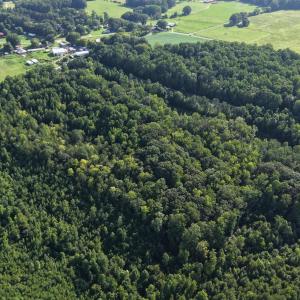 Photo #11 of 211 Moore, Mocksville, NC 12.3 acres