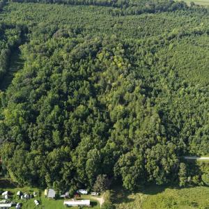 Photo #17 of 211 Moore, Mocksville, NC 12.3 acres