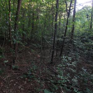 Photo #23 of 211 Moore, Mocksville, NC 12.3 acres