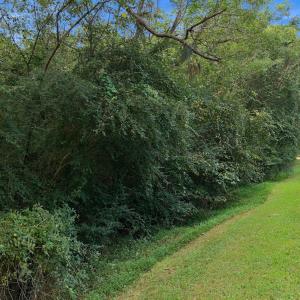 Photo #11 of 860 Simon, Middlesex, NC 5.4 acres