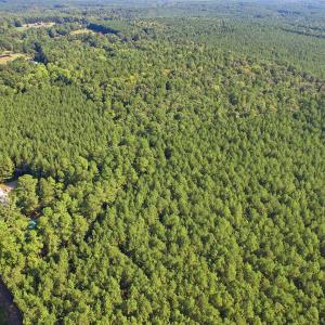 Photo #8 of 7192 Nc 87, Pittsboro, NC 25.6 acres