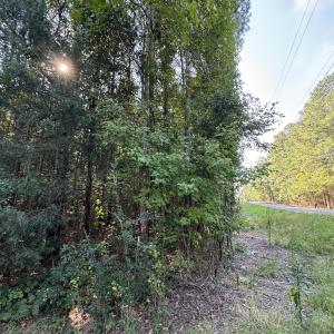 Photo #15 of 7192 Nc 87, Pittsboro, NC 25.6 acres